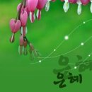 보라만물