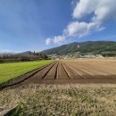 수성농장 이미지