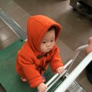 좋아 자동차 이미지
