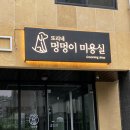 또리네 멍멍이 미용실 이미지