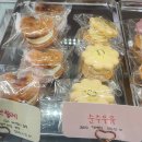 내일도카롱 네이버블로그
