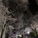 파티마여성병원 이미지