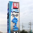 속초해산물식당