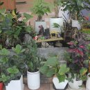 임하면행정복지센터 이미지