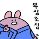 화서주짓수 네이버블로그