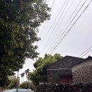 봉주르제주 이미지