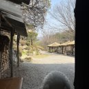 내촌애견 이미지