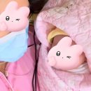 테스트강좌입니다. 신청하지 마세요. | 해운대 제일여성병원 외래진료부터 제왕절개 출산까지 자세한 후기