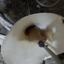 사임당로1길 31 (1) 이미지