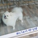 소답동237 이미지