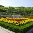 신구대학식물원 티스토리