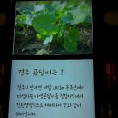 교동비빔밥 이미지