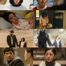 금비 티브이데일리