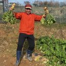 미락고을 이미지