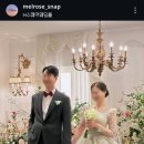 멜로즈 | 멜로즈 스냅 계약 후기💟 + 짝꿍코드