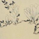 4월 18일 무심재클럽 여행 천리포 수목원 목련꽃과 개심사, 문수사의 겹벚꽃 이미지