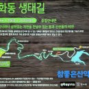 [산행신청] 제 231차 전북 장수 덕산계곡 방화동 생태길 트레킹 이미지