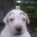 황금알 pc방 | ˖◛⁺˖