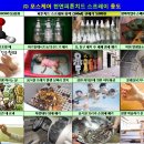 (주)케어포스 이미지