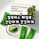 대산몰 | 칼로하스케일 효능 효과 내돈내산 후기 먹는법 가격 부작용까지 총정리