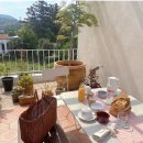 조수리 플로어 이미지