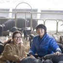 장훈목장 이미지