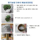 향기다육농원
