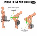 몸짱만들기GYM 이미지