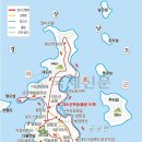 대도관광