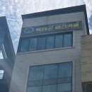 홍산빌딩 | 전주 애견카페 후기 강아지들이 정말 많고 따뜻한곳