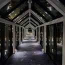 지온 메드 이미지