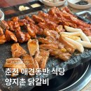 양지촌 | 춘천 애견동반식당 양지촌 닭갈비 후기