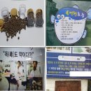 녹우컴파운드 연합뉴스