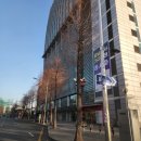 김치도가 양재하이브랜드점 | 골프존파크 양재하이브랜드점 스크린 후기