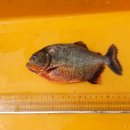 마옥환경 이미지