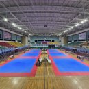 금오 인성태권도 이미지