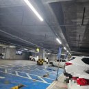 (주)롯데마트(수완점) 이미지