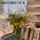 더블유(W)헤어 | [남성역 미용실] 더블유 헤어 (W 헤어 사당점) - 손상 없는 레드 브라운 염색 후기 (탈색 ❌)