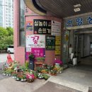 분당어린이집 | 서현 꽃집 해피플라워 🌸 어버이날 카네이션! 건영상가 무인 꽃매대 이용 후기 (성남지역화폐 가능)
