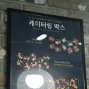 죠샌드위치 광장점 네이버블로그
