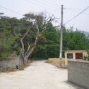 운정초등학교 이미지