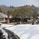 나무마당 이미지