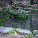 옥산어린이공원 | [조경기사 개념보완] 2021년 1회 - 조경사, 조경계획, 조경설계