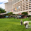 센트로폴리스 피트니스 이미지