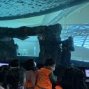 12/18 인형극 관람 (해양박물관) 이미지