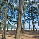 우리집 같은 민박 이미지