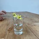 구암동451 | 대전 구암동 비건 브런치 카페, 라이크마인디드 내돈내산 솔직후기!