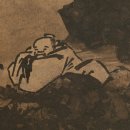 중국관수화원 네이버블로그