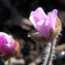 순천만여행 이미지