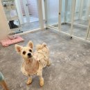 해피오브트리밍 이미지